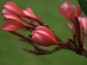 七时吉祥电视剧